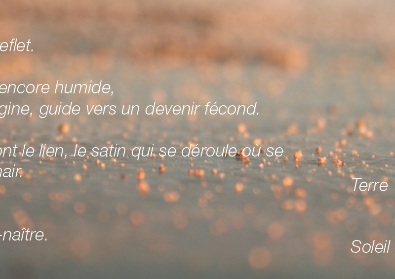 portfolio_copyright anne agostini web_fleurs2
