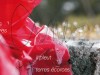 portfolio_copyright anne agostini web_racines2