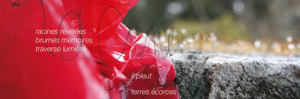 portfolio_copyright anne agostini web_racines2