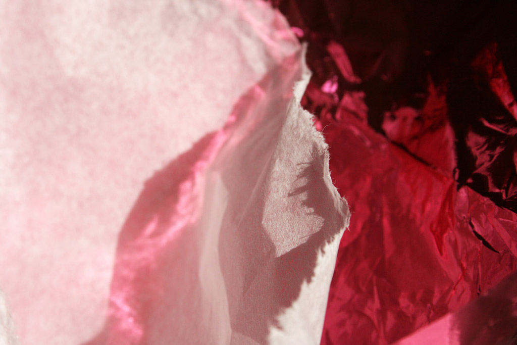 11_copyright anne agostini