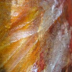 racines-details-03-web_copyright anne agostini