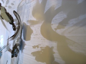 septembre 2011 objet_copyright anne agostini web