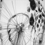 detail l'oeil-copyright anne agostini WEB