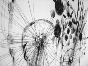 detail l'oeil-copyright anne agostini WEB