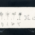encre curiosites flore_copyright anne agostini