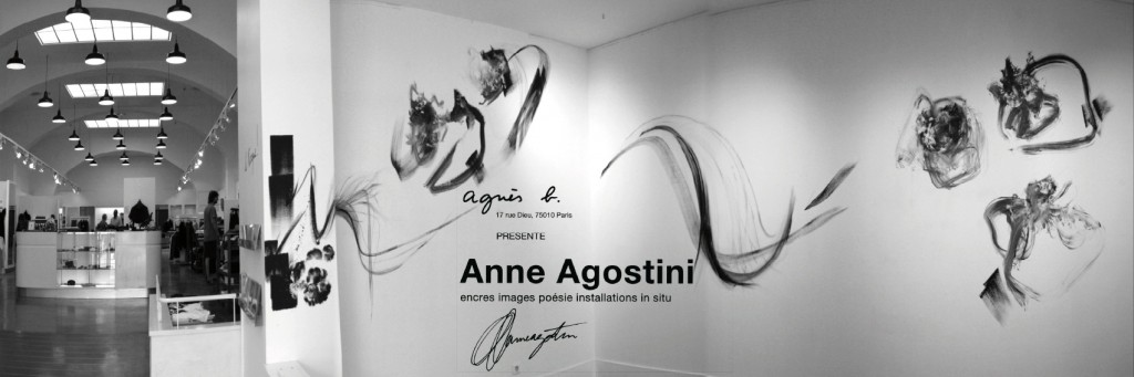 portfolio_copyright anne agostini web_agnes2