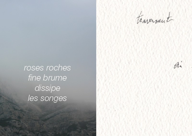 portfolio_copyright anne agostini web_blancs2