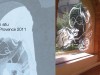 portfolio_copyright anne agostini web_oblats